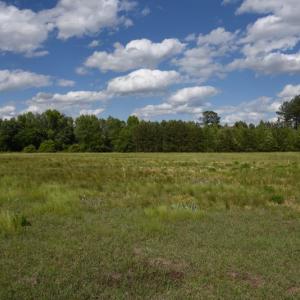 Photo #7 of SOLD property in Off Holland Road, Greenville, NC 20.0 acres