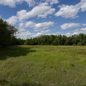 Photo #9 of SOLD property in Off Holland Road, Greenville, NC 20.0 acres