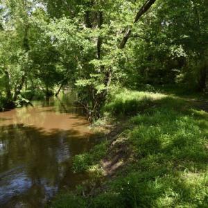 Photo #13 of SOLD property in Off Holland Road, Greenville, NC 20.0 acres
