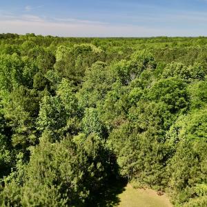 Photo #2 of SOLD property in Off Agora Lane, Louisburg, NC 6.0 acres