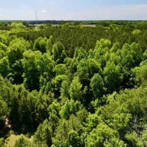 Photo #11 of SOLD property in Off Agora Lane, Louisburg, NC 6.0 acres
