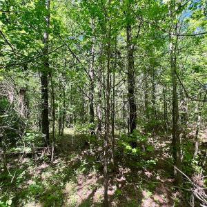 Photo #16 of SOLD property in Off Agora Lane, Louisburg, NC 6.0 acres