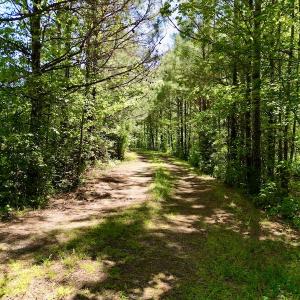 Photo #19 of SOLD property in Off Agora Lane, Louisburg, NC 6.0 acres