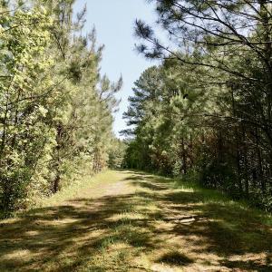 Photo #20 of SOLD property in Off Agora Lane, Louisburg, NC 6.0 acres
