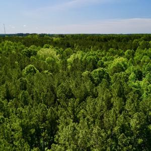 Photo #3 of SOLD property in Off Agora Lane, Louisburg, NC 6.0 acres