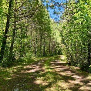 Photo #21 of SOLD property in Off Agora Lane, Louisburg, NC 6.0 acres