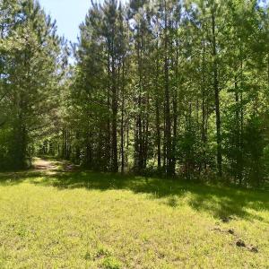 Photo #22 of SOLD property in Off Agora Lane, Louisburg, NC 6.0 acres