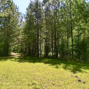 Photo #22 of SOLD property in Off Agora Lane, Louisburg, NC 6.0 acres