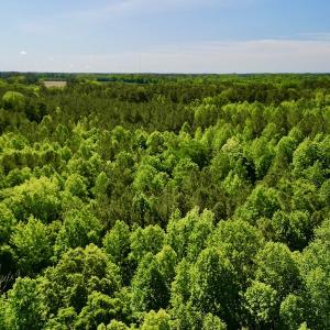 Photo #4 of SOLD property in Off Agora Lane, Louisburg, NC 6.0 acres