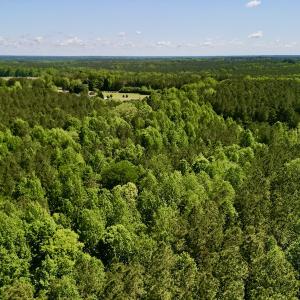 Photo #5 of SOLD property in Off Agora Lane, Louisburg, NC 6.0 acres
