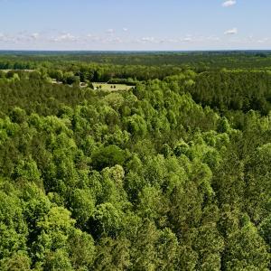 Photo #5 of SOLD property in Off Agora Lane, Louisburg, NC 6.0 acres