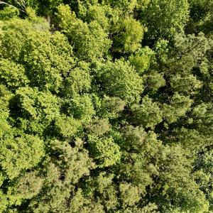 Photo #6 of SOLD property in Off Agora Lane, Louisburg, NC 6.0 acres