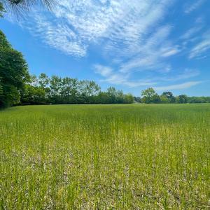 Photo #11 of Off Airport Dr, Melfa, VA 88.2 acres