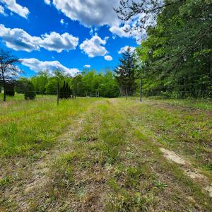 Photo #9 of SOLD property in NC HWY 700, Pelham, NC 14.2 acres