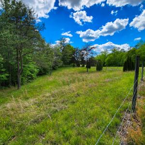 Photo #10 of SOLD property in NC HWY 700, Pelham, NC 14.2 acres