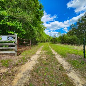 Photo #11 of SOLD property in NC HWY 700, Pelham, NC 14.2 acres