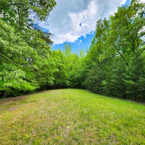 Photo #15 of SOLD property in NC HWY 700, Pelham, NC 14.2 acres