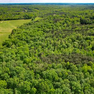 Photo #5 of SOLD property in NC HWY 700, Pelham, NC 14.2 acres