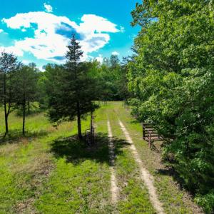 Photo #8 of SOLD property in NC HWY 700, Pelham, NC 14.2 acres