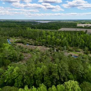 Photo #2 of SOLD property in Off NC 304 Hwy, Bayboro, NC 4.3 acres