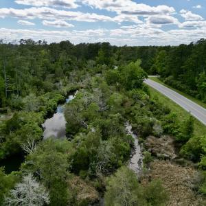 Photo #11 of SOLD property in Off NC 304 Hwy, Bayboro, NC 4.3 acres