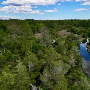 Photo #12 of SOLD property in Off NC 304 Hwy, Bayboro, NC 4.3 acres