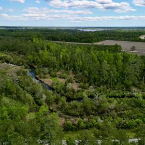 Photo #3 of SOLD property in Off NC 304 Hwy, Bayboro, NC 4.3 acres
