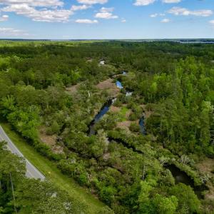 Photo #4 of SOLD property in Off NC 304 Hwy, Bayboro, NC 4.3 acres