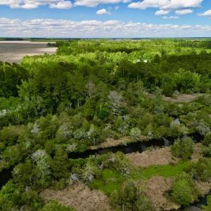 Photo #5 of SOLD property in Off NC 304 Hwy, Bayboro, NC 4.3 acres