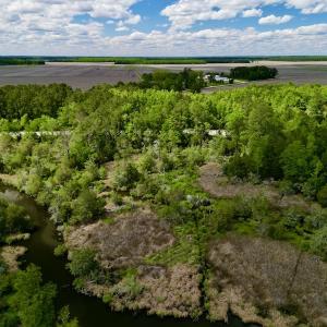Photo #6 of SOLD property in Off NC 304 Hwy, Bayboro, NC 4.3 acres