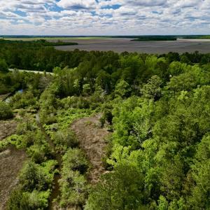 Photo #7 of SOLD property in Off NC 304 Hwy, Bayboro, NC 4.3 acres