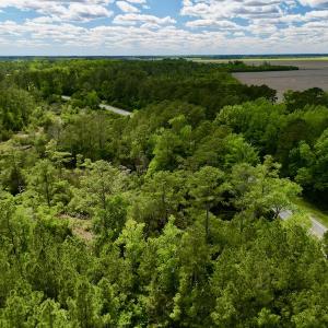 Photo #8 of SOLD property in Off NC 304 Hwy, Bayboro, NC 4.3 acres