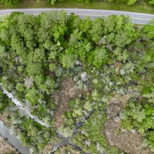 Photo #9 of SOLD property in Off NC 304 Hwy, Bayboro, NC 4.3 acres