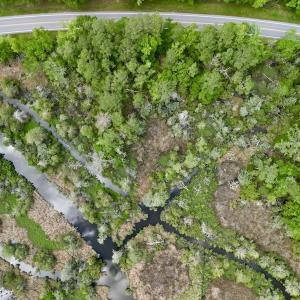 Photo #10 of SOLD property in Off NC 304 Hwy, Bayboro, NC 4.3 acres