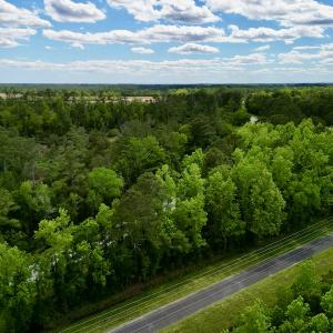 Photo #2 of SOLD property in Off NC 304 Hwy, Bayboro, NC 1.5 acres