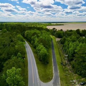 Photo #13 of SOLD property in Off NC 304 Hwy, Bayboro, NC 1.5 acres
