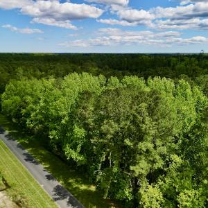 Photo #4 of SOLD property in Off NC 304 Hwy, Bayboro, NC 1.5 acres