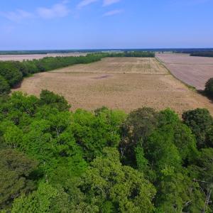 Photo #8 of SOLD property in Off Dailey Road, Camden, NC 89.7 acres