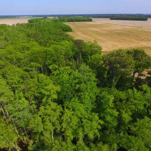 Photo #7 of SOLD property in Off Dailey Road, Camden, NC 89.7 acres