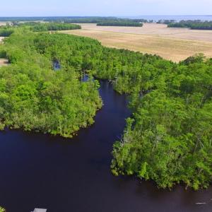 Photo #5 of SOLD property in Off Dailey Road, Camden, NC 89.7 acres