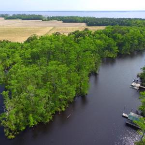 Photo #6 of SOLD property in Off Dailey Road, Camden, NC 89.7 acres