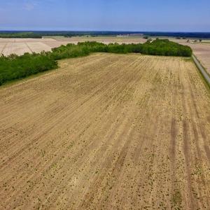 Photo #11 of SOLD property in Off Dailey Road, Camden, NC 89.7 acres