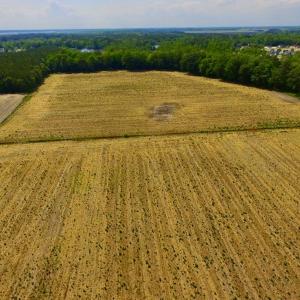 Photo #12 of SOLD property in Off Dailey Road, Camden, NC 89.7 acres