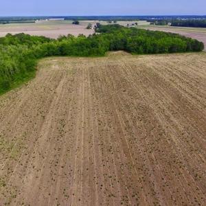 Photo #15 of SOLD property in Off Dailey Road, Camden, NC 89.7 acres