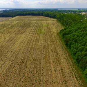 Photo #13 of SOLD property in Off Dailey Road, Camden, NC 89.7 acres