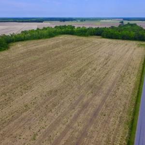 Photo #14 of SOLD property in Off Dailey Road, Camden, NC 89.7 acres