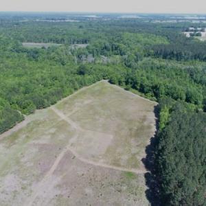 Photo #2 of SOLD property in Off Holland Road, Greenville, NC 20.0 acres