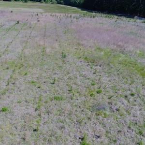 Photo #4 of SOLD property in Off Holland Road, Greenville, NC 20.0 acres
