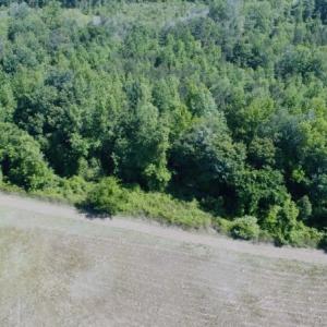 Photo #10 of SOLD property in Off Holland Road, Greenville, NC 20.0 acres
