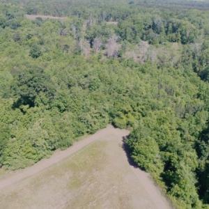 Photo #14 of SOLD property in Off Holland Road, Greenville, NC 20.0 acres